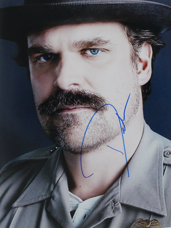 David Harbour 16X12 signed in Blue Stranger Things
