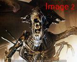 Malcolm Weaver Pre-order Collectormania CMMKOCT2026