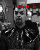 Martin Rayner Pre-order Destination2026