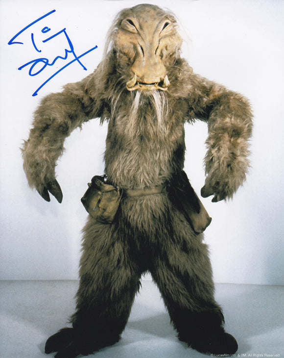 Tim Dry 10x8 signed in Blue Star Wars Return of the Jedi