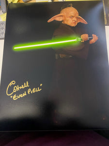 Michaela Cottrell 10x8 signed in Gold Star Wars The Phantom Menace